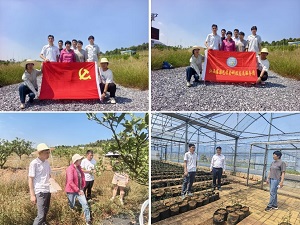 支部活动.jpg 支部活动.jpg